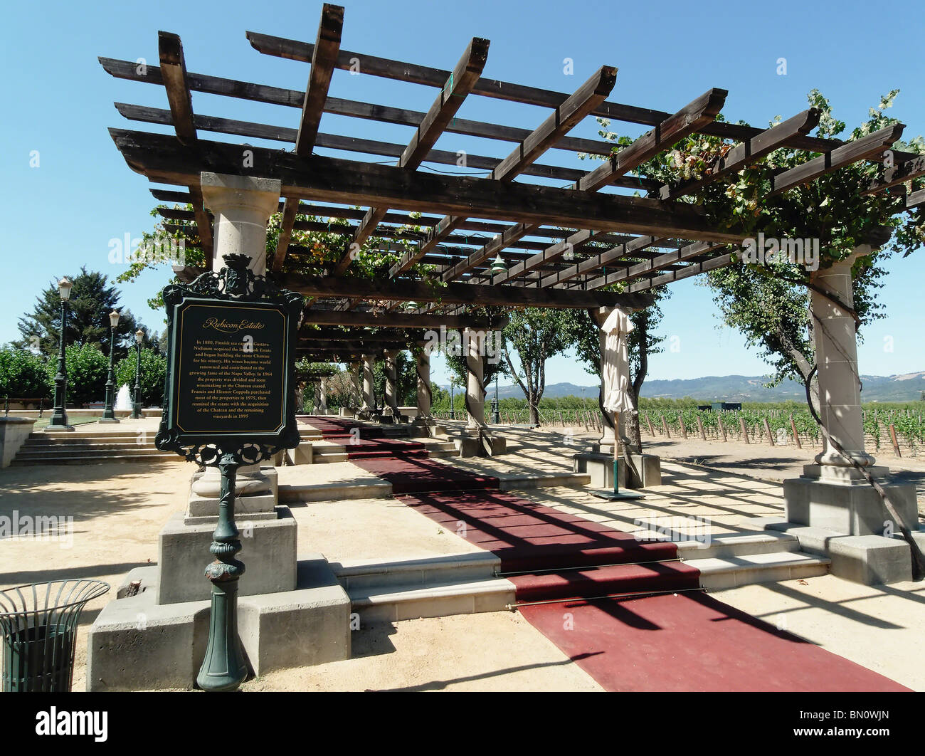 Grapevine on a Trellis, Rubicon Estate, Niebaum-Coppola Winery, Rutherford, Napa Valley, California Stock Photo