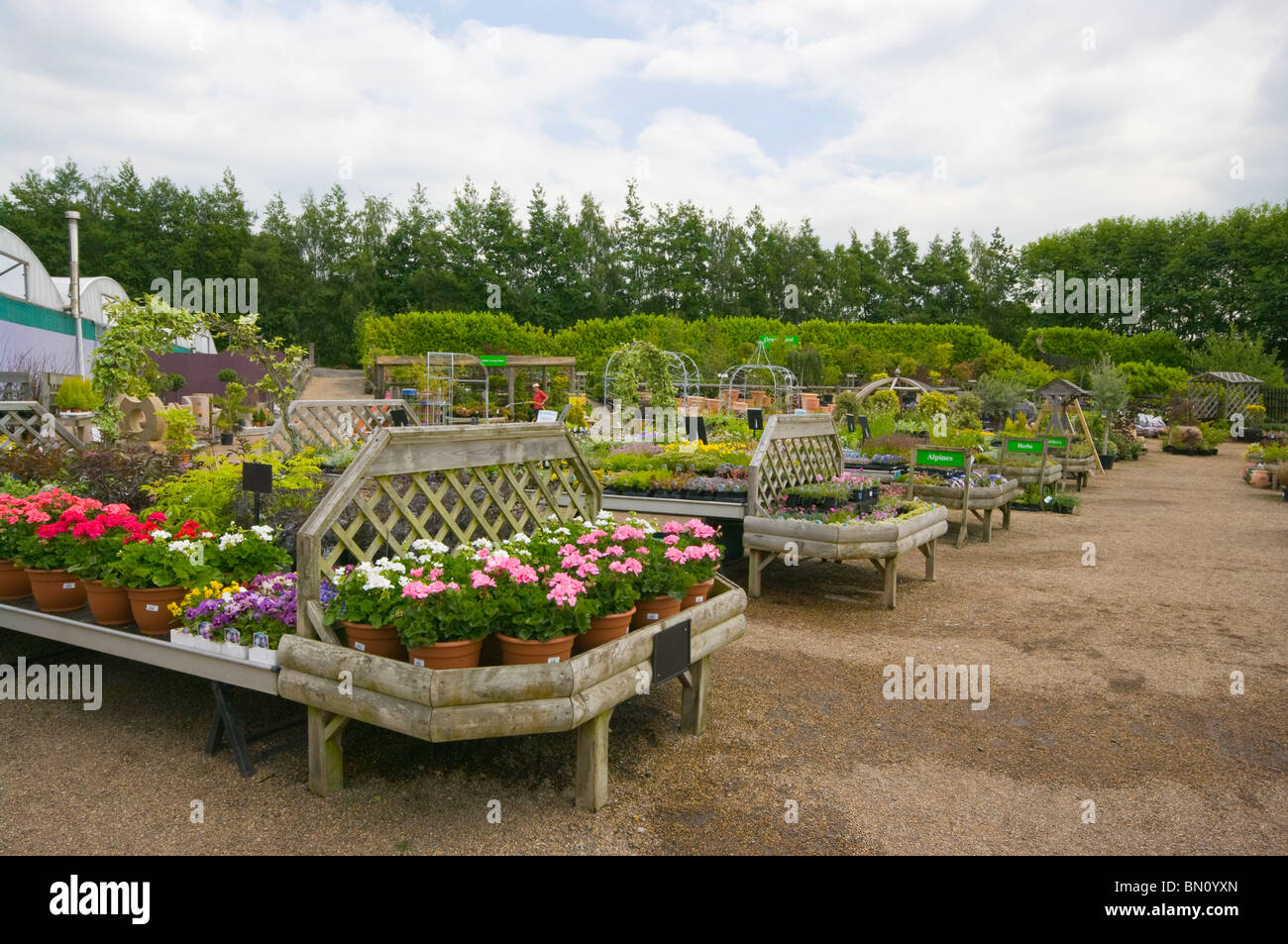 Garden Centre Plant Displays Stock Photo