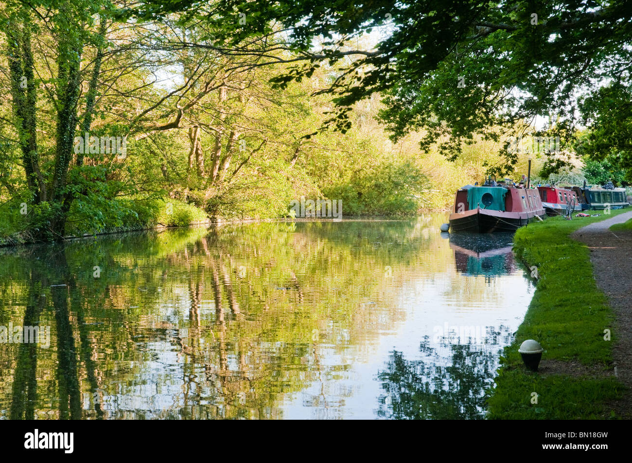 Long boats on the Grand Union Canal, Watford, Hertfordshire, UK Stock Photo