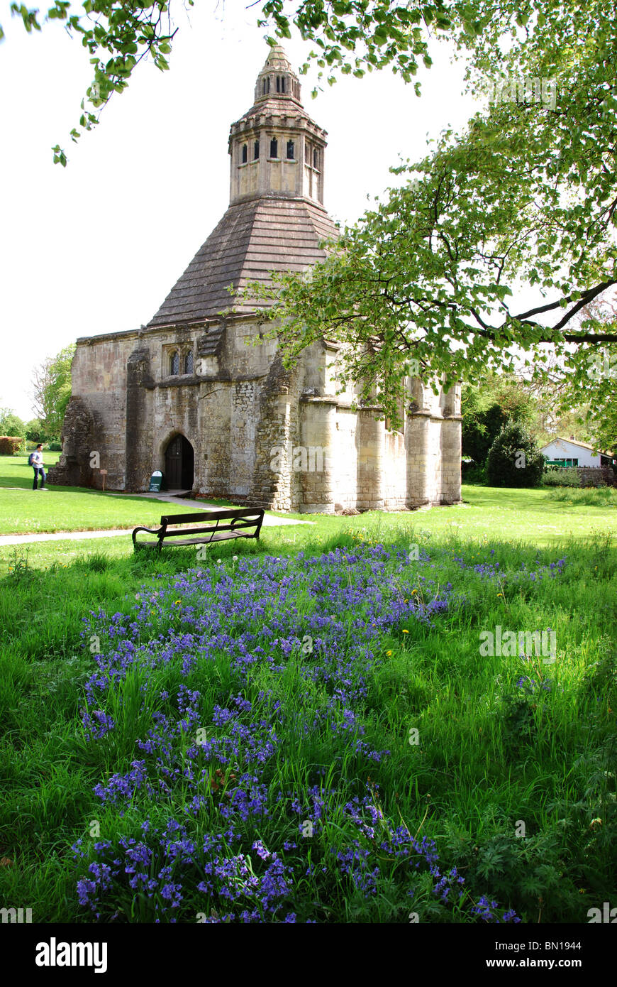 Abbot's Kitchen in spring, Glastonbury Abbey UK Stock Photo