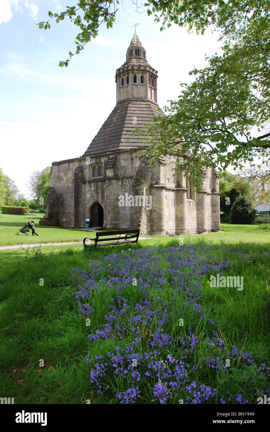 Abbot's Kitchen in spring, Glastonbury Abbey UK Stock Photo