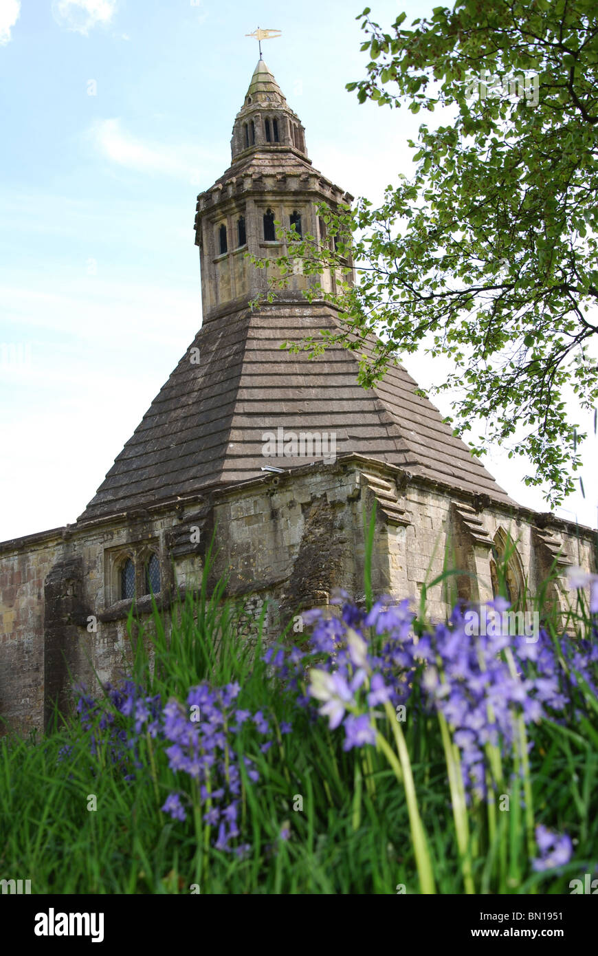 Abbot's Kitchen in spring, Glastonbury Abbey UK Stock Photo
