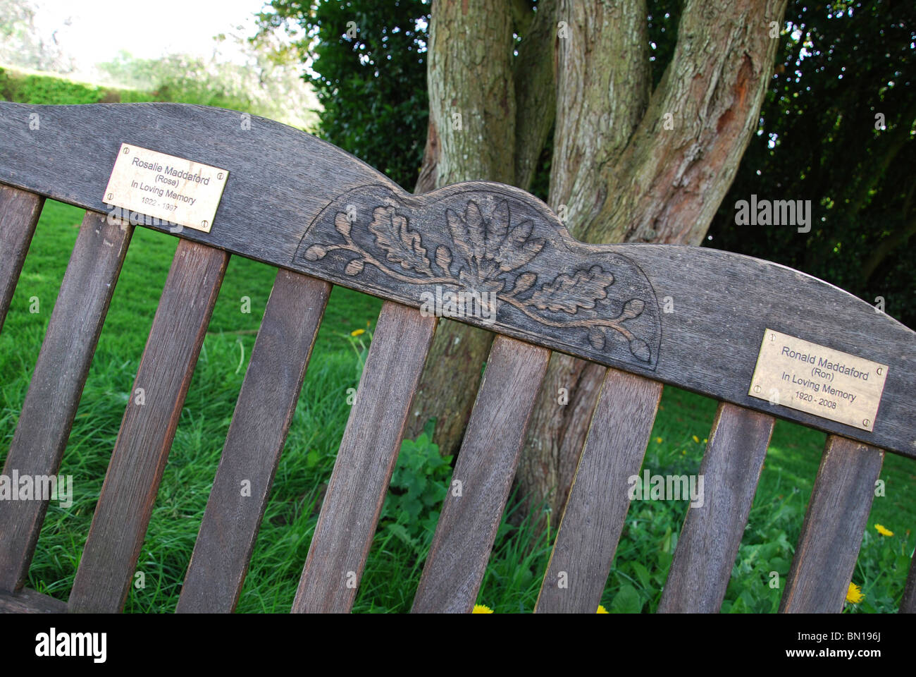 memorial bench in grounds of Glastonbury Abbey, Somerset United Kingdom Stock Photo