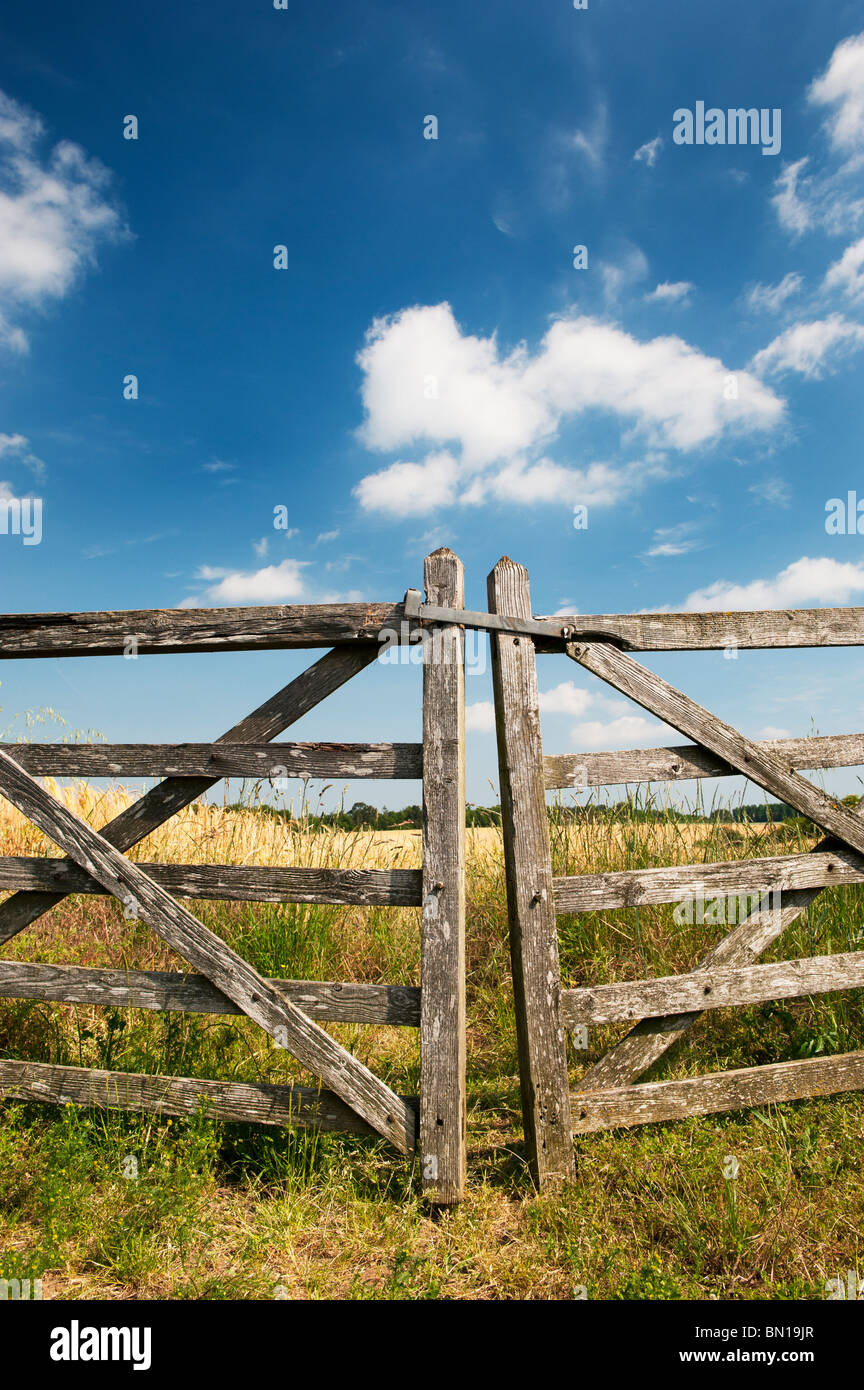 Old five bar wooden gates in front of a field of barley in the english countryside. Oxfordshire, England Stock Photo