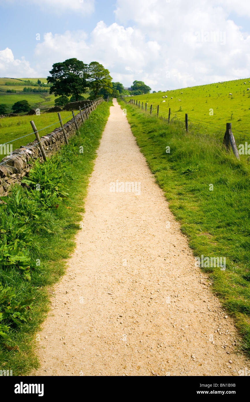 Footpath at Teggs Nose Country Park above Macclesfield in Cheshire;England;Uk. Stock Photo