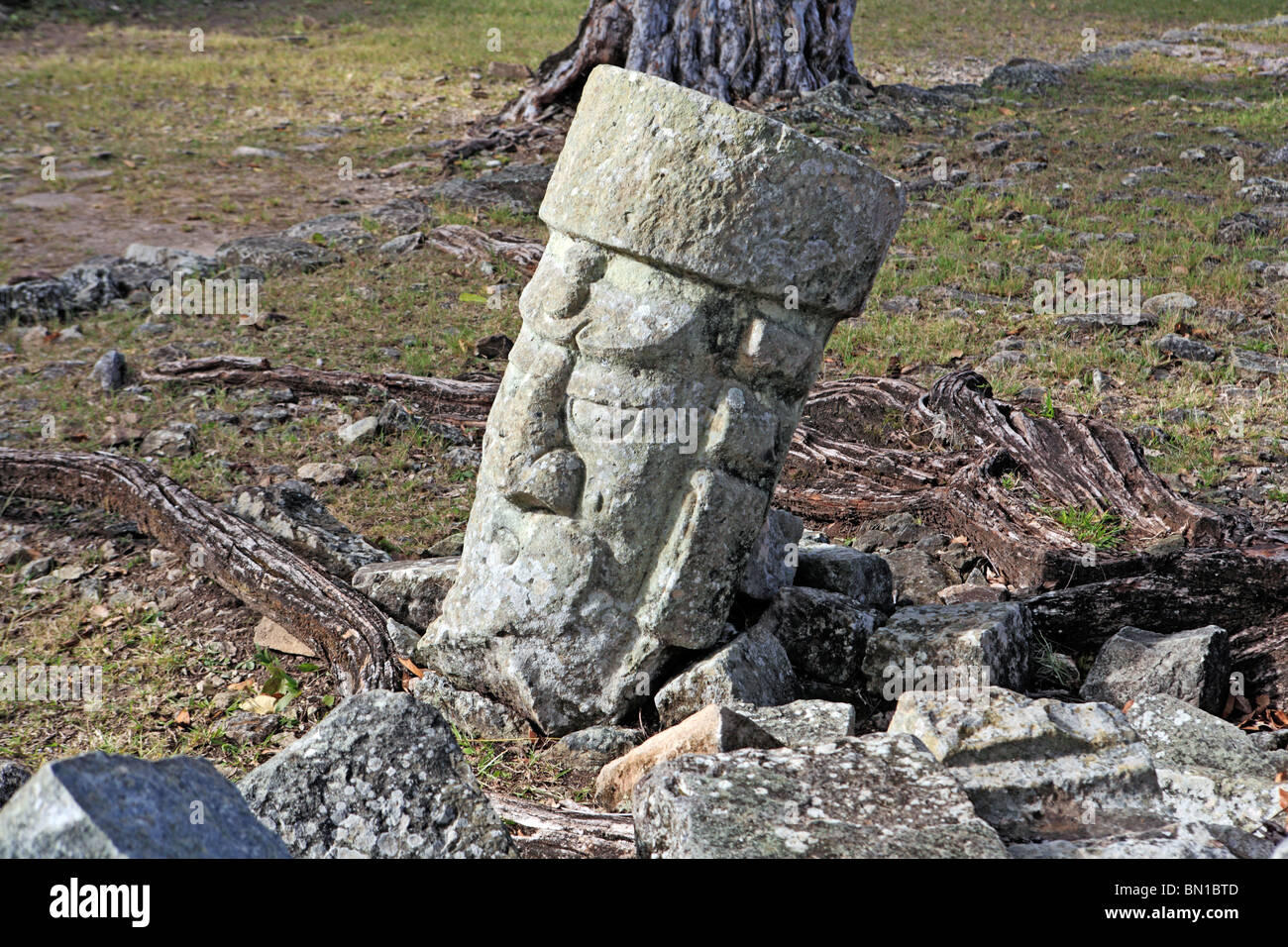 Maya ruins, Stone head, between East and West court, Copan (Honrduras), Guatemala Stock Photo