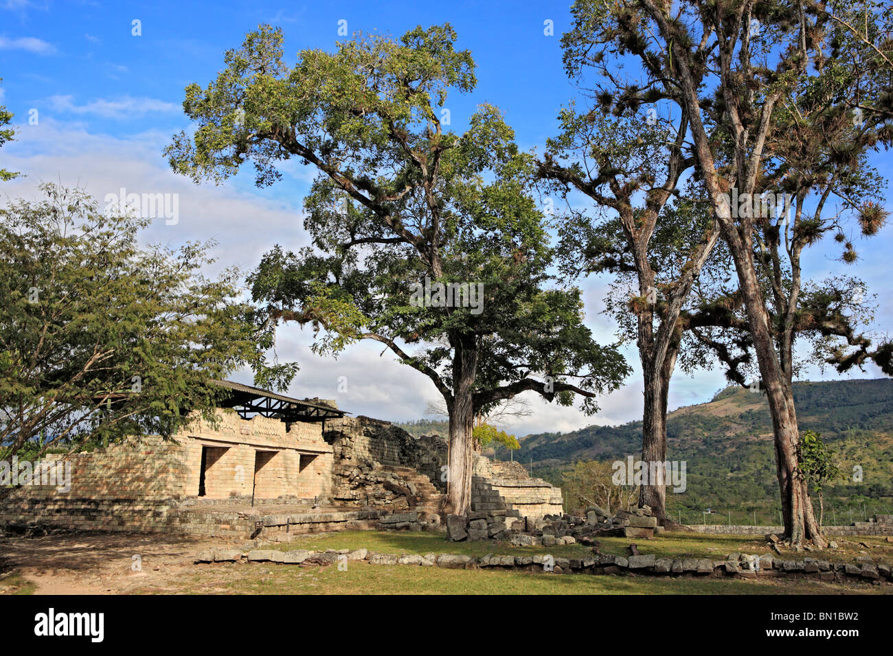 Maya ruins, Temple 22, Copan (Honrduras), Guatemala Stock Photo