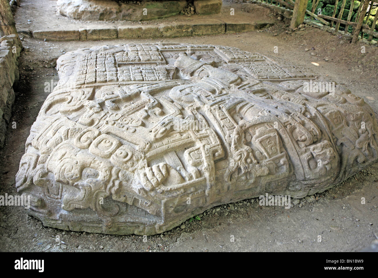 Maya ruins, Grand plaza, stone stela (8th century), Quirigua, Guatemala Stock Photo