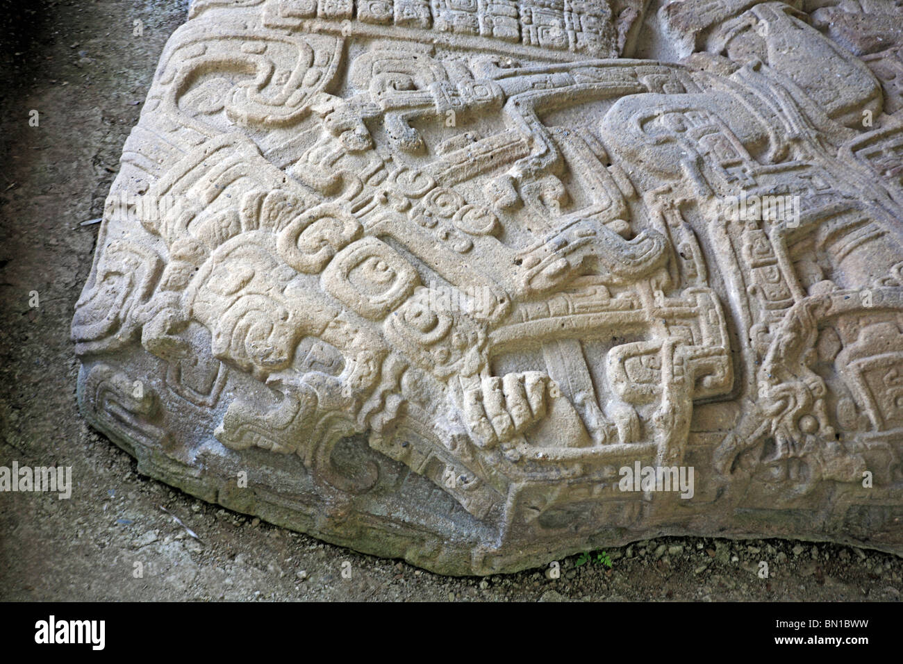 Maya ruins, Grand plaza, stone stela (8th century), Quirigua, Guatemala Stock Photo