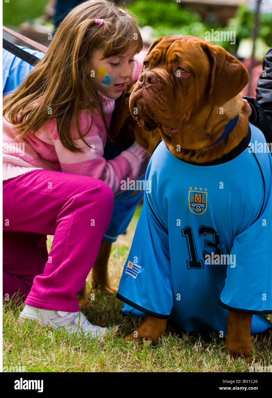 Dog wearing Uruguayan football team shirt celebrating the first quarterfinals in 40 years after beating South Korea Stock Photo