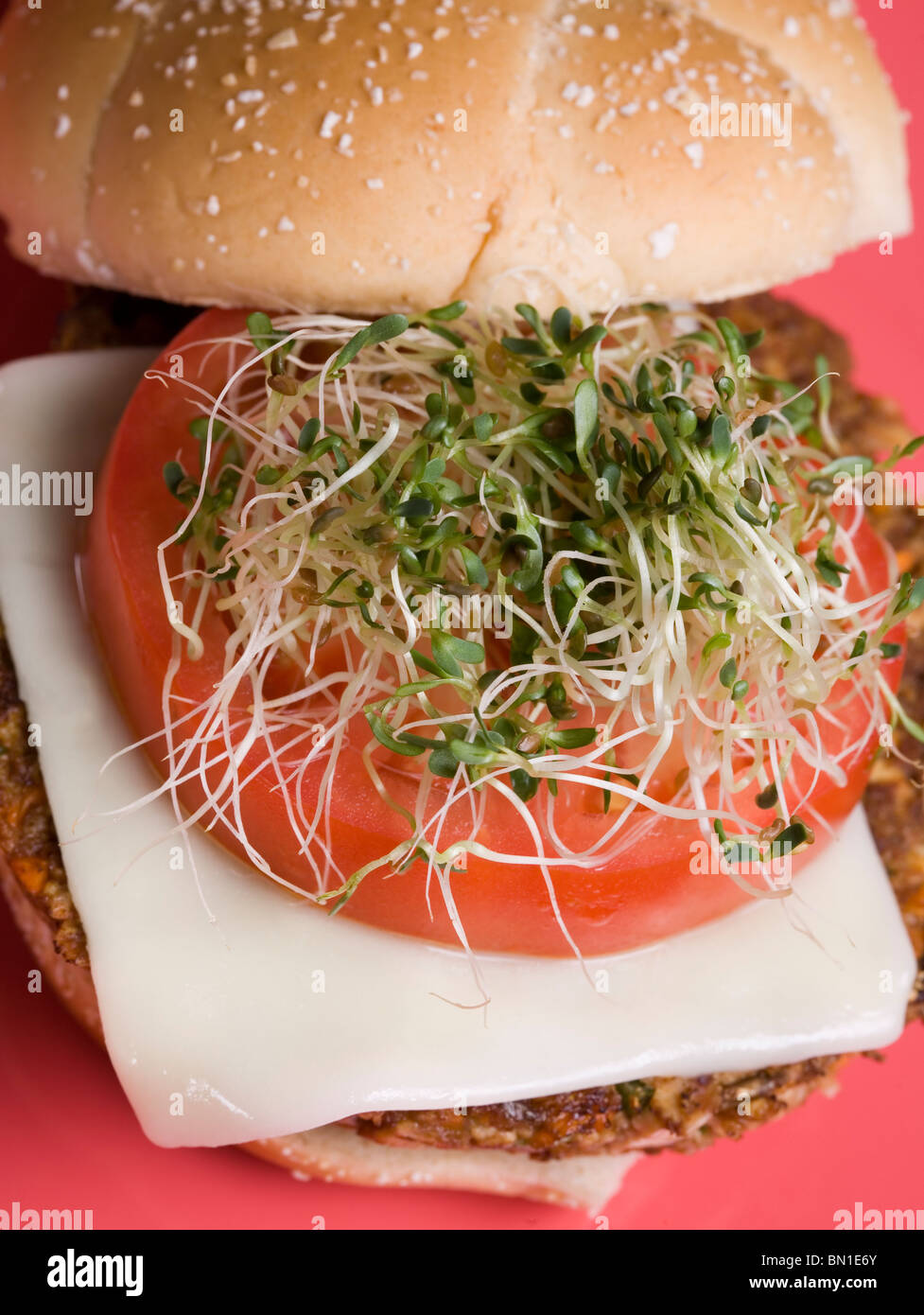 Veggie Tofu Burger with Soy Mozzarella Cheese and Alfalfa Sprouts Stock Photo