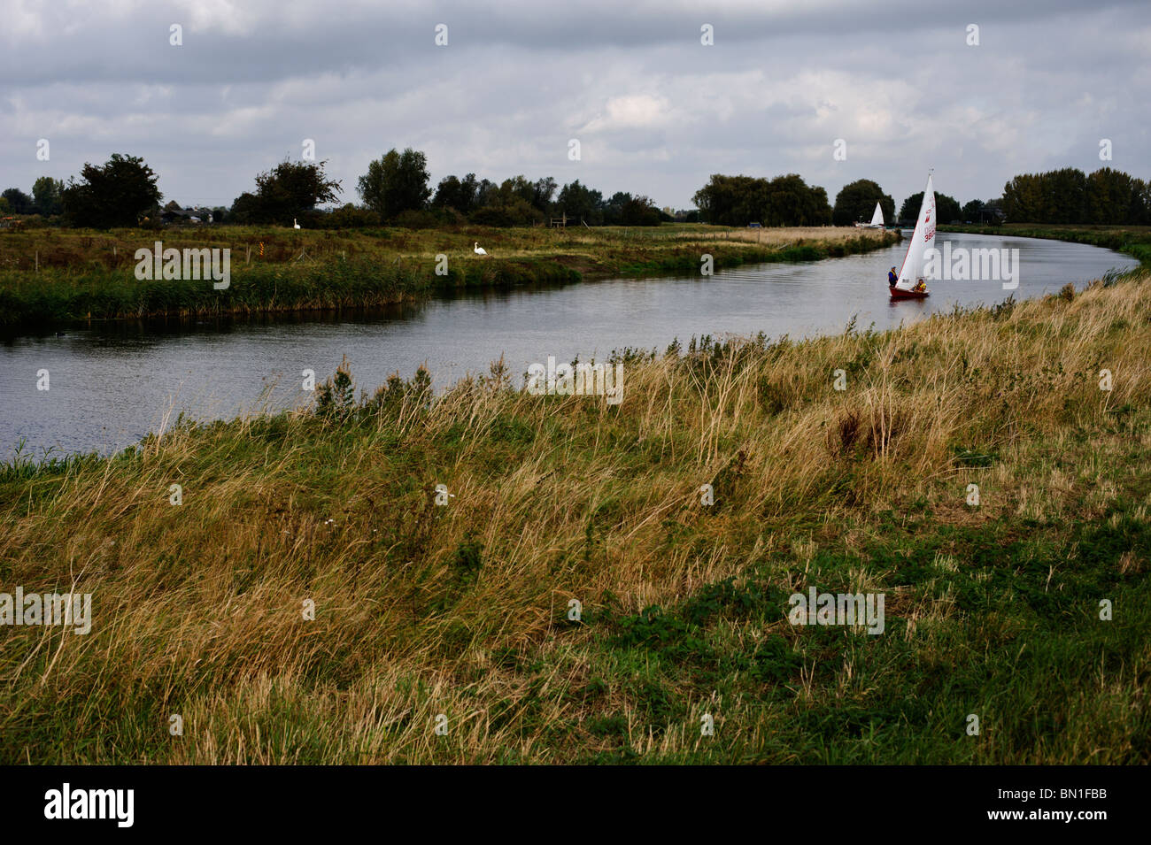 A small boat sailing on the River Cam near Waterbeach Stock Photo