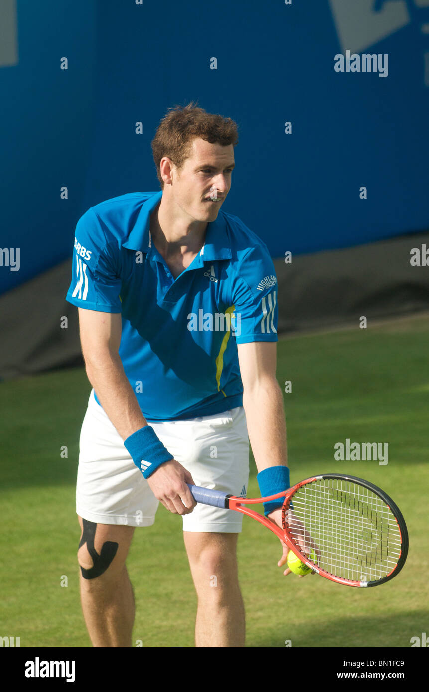 Andy Murray serving at The Aegon Tennis Championship, Queen's Club, London, June 2010 Stock Photo