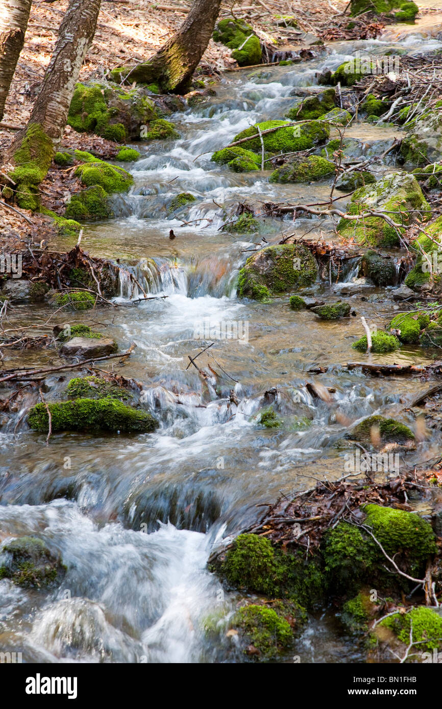 Creek, Lago delle Lame lake, Rezzoaglio, Genoa, Ligury, Italy, Europe Stock Photo