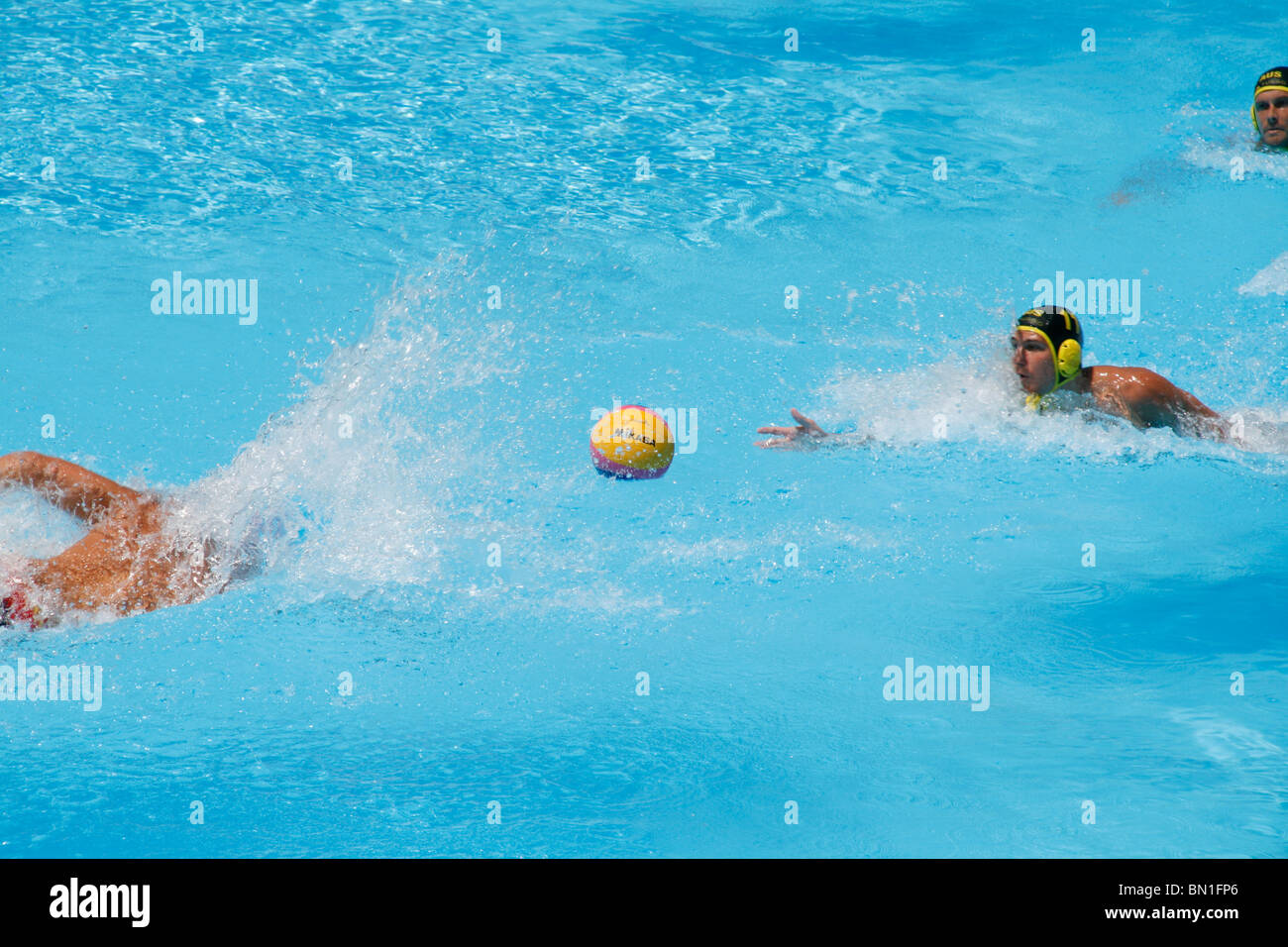 australia v spain water polo team competition action at world swimming
