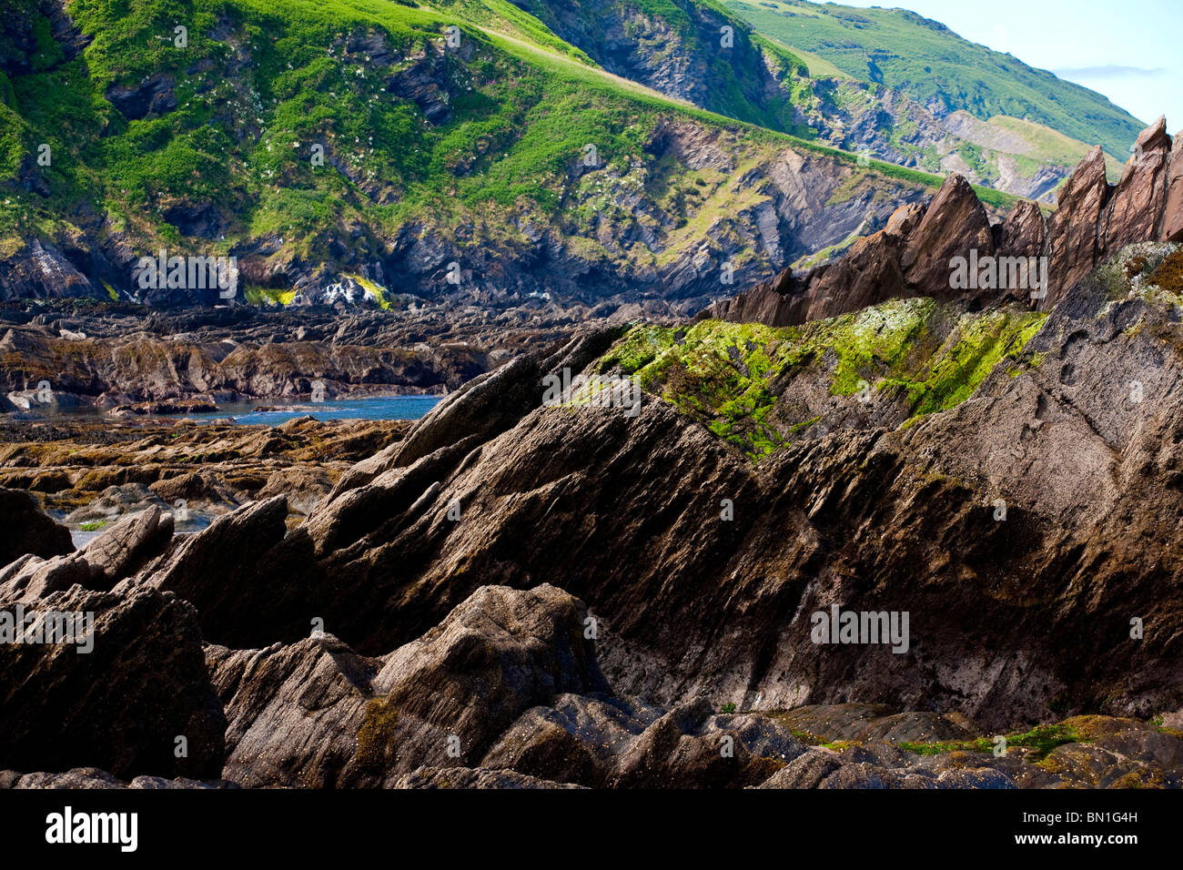 Rocks, Ilfracombe, North Devon, England, Great Britain Stock Photo - Alamy