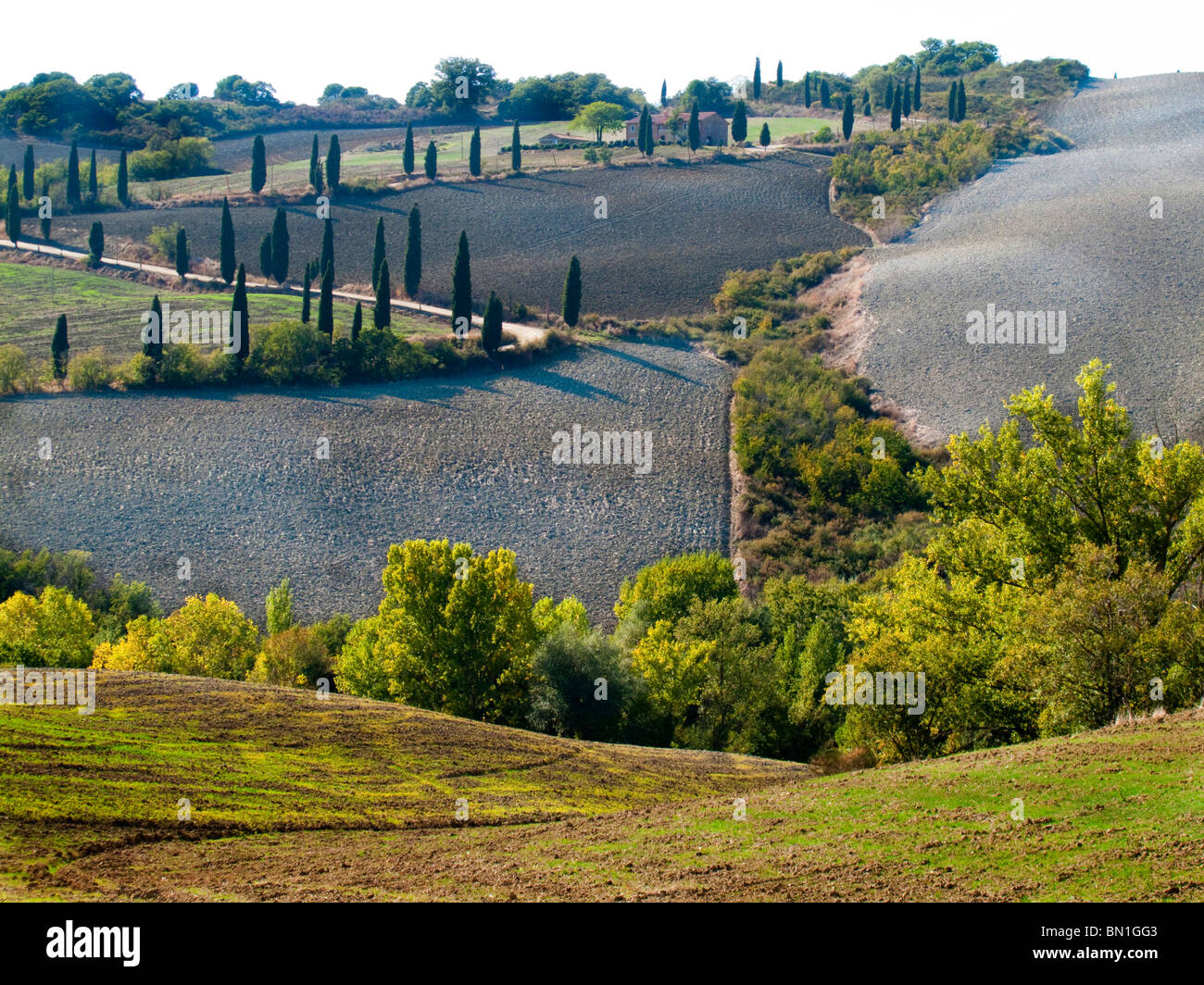 Castiglione d'Orcia, Siena, Tuscany, Italia , Europe Stock Photo - Alamy