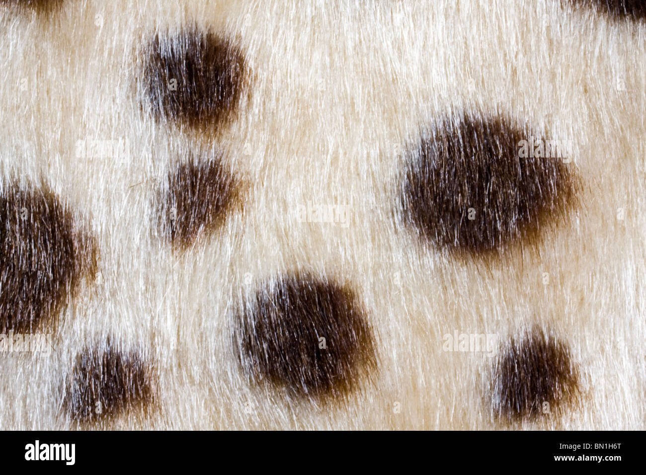 Texture of leopardskin Pattern fabric background Stock Photo