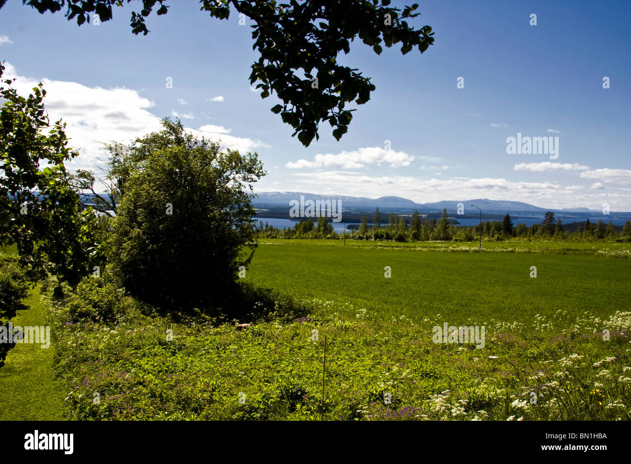 Nature landscape of green grass , blue sky and white clouds Stock Photo ...