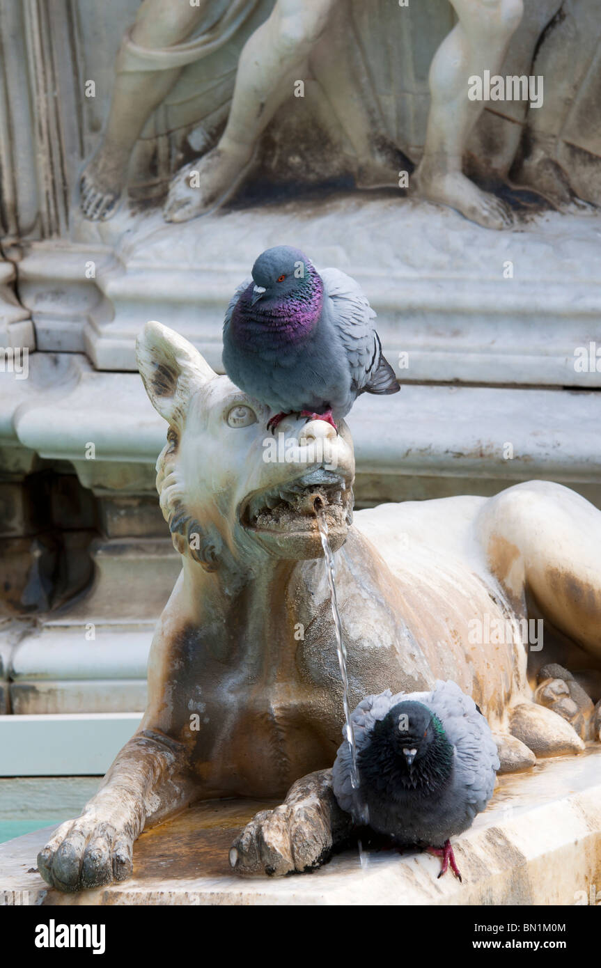 Fountain at Piazza del Campo, Siena, Tuscany Stock Photo
