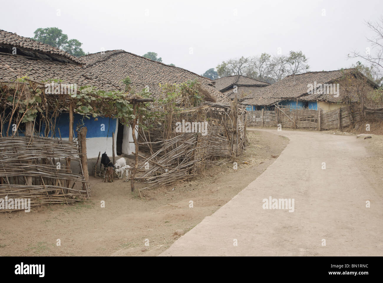 Gond forest village, Ganda tola with cemented road, Pench National Park, MP Stock Photo