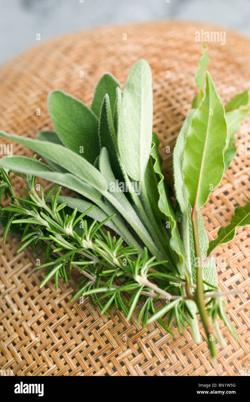 Fresh sage, rosemary, and bay leaves Stock Photo Alamy