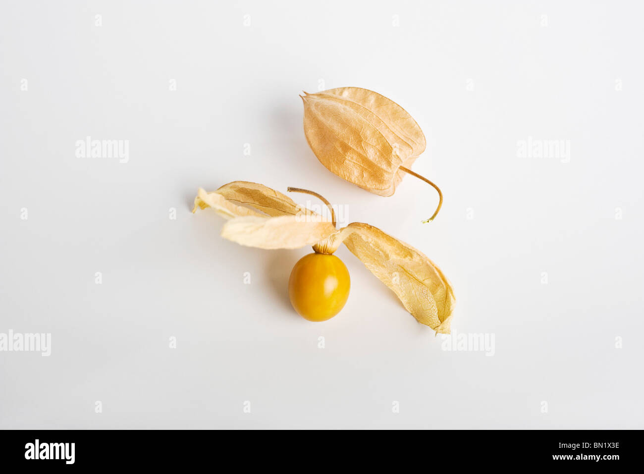 Cape gooseberry (Physalis peruviana) Stock Photo