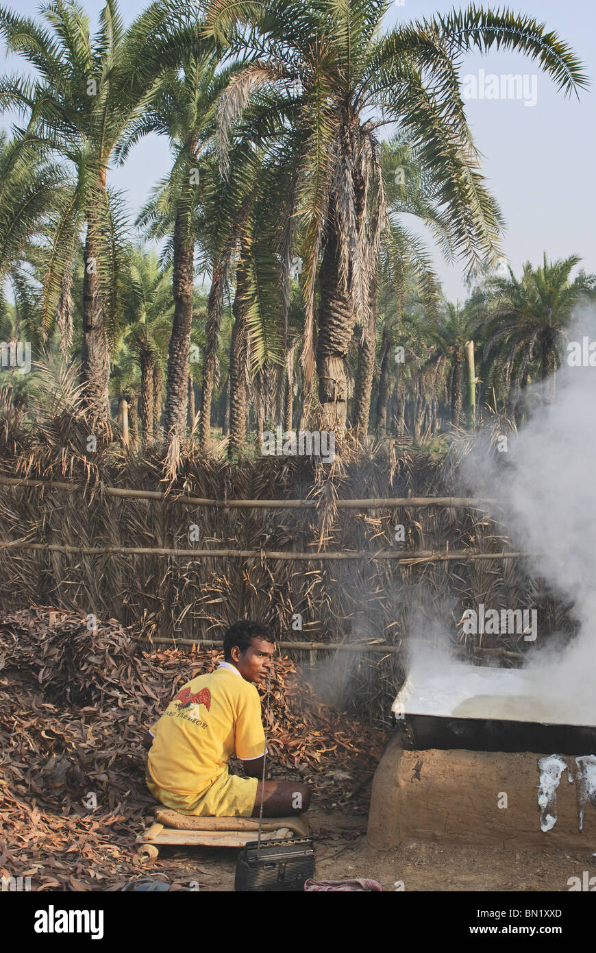 Making of khejur gud Jaggery in progress boiling sap of sugar Date