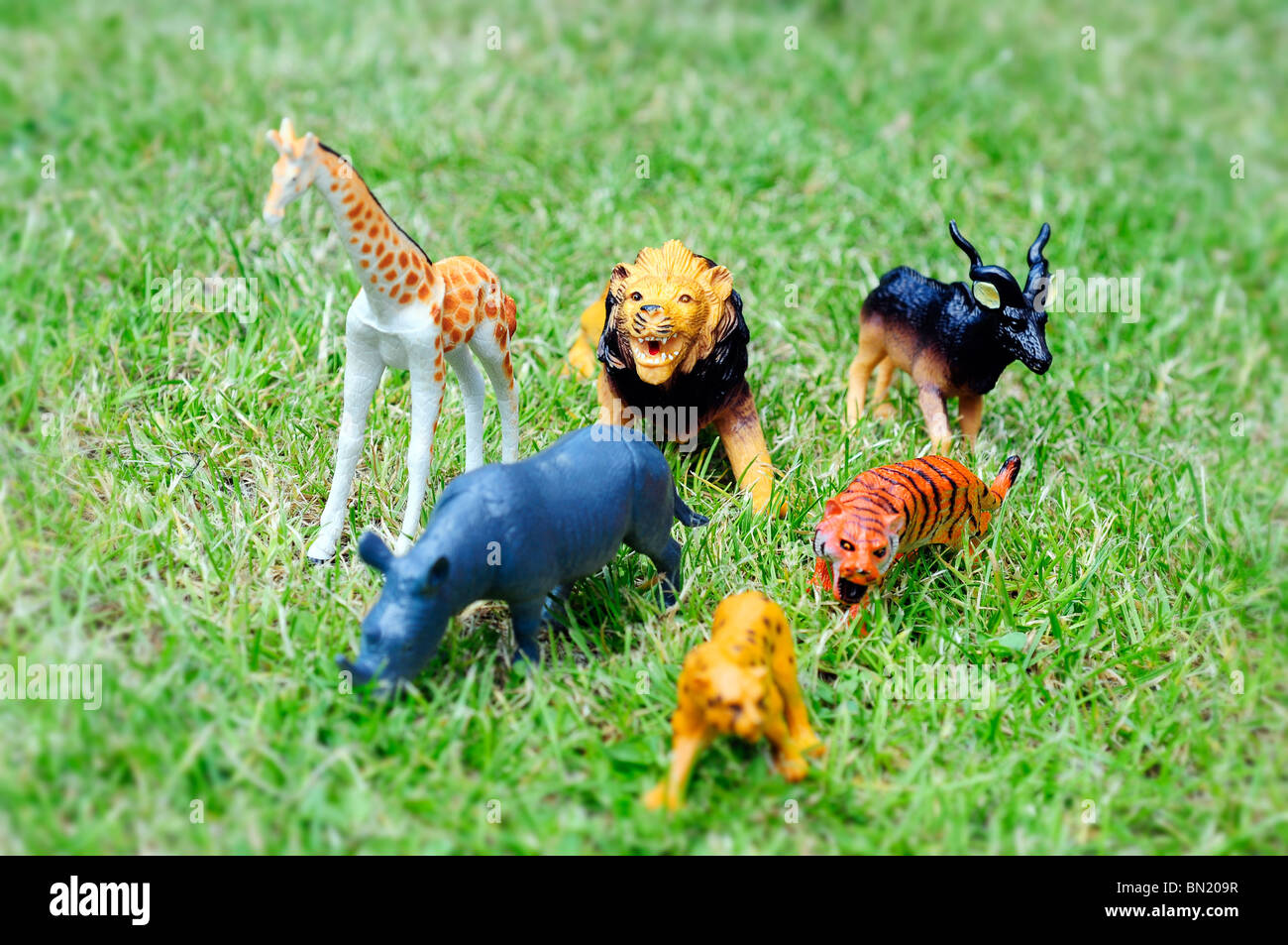 toy zoo animals Stock Photo