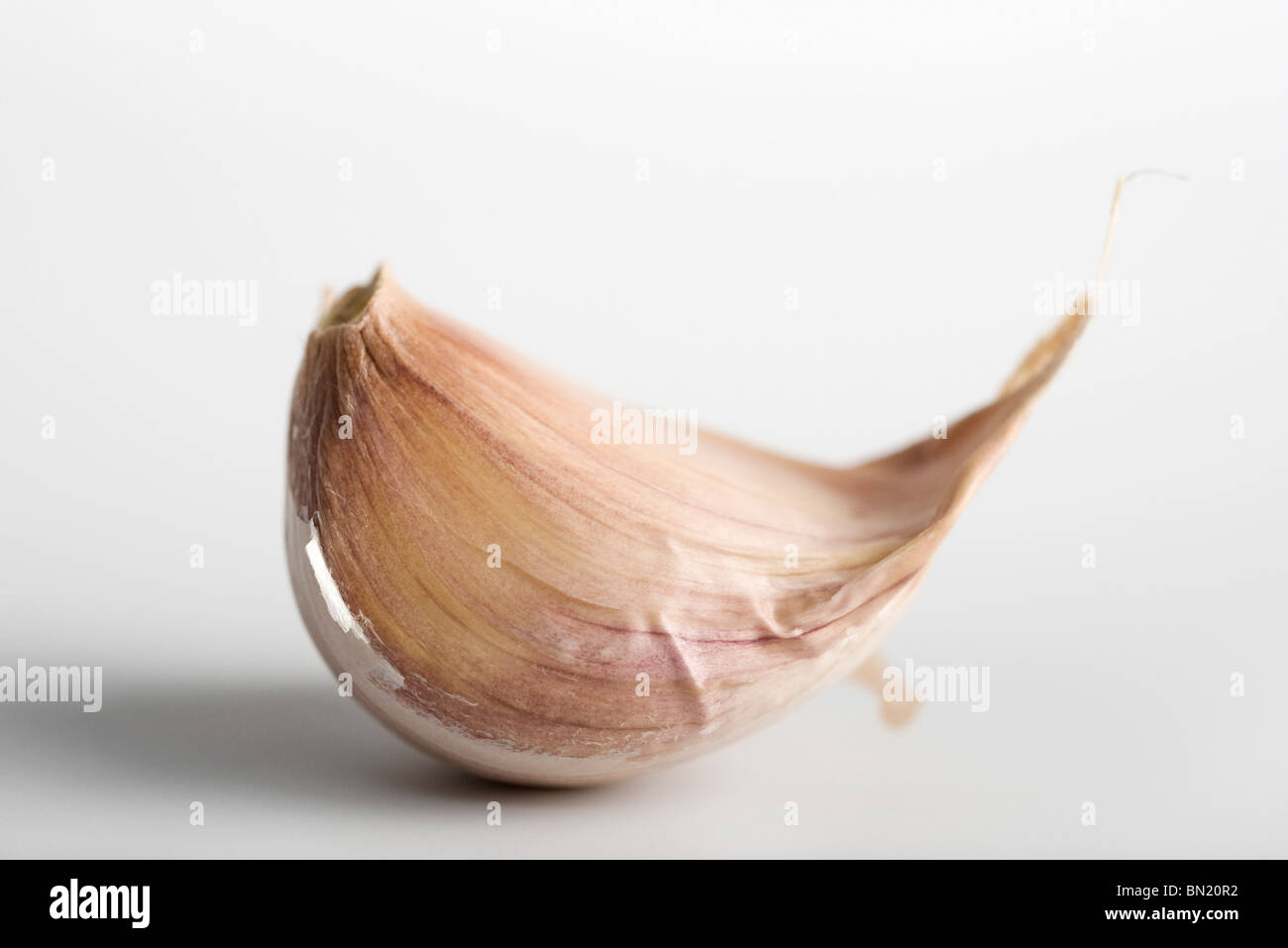 Clove of garlic Stock Photo
