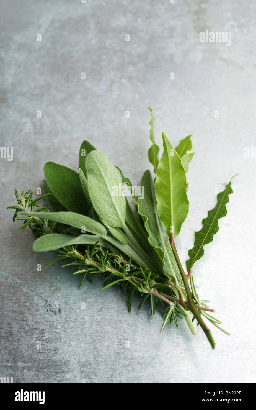 Fresh sage, rosemary, and bay leaves Stock Photo - Alamy