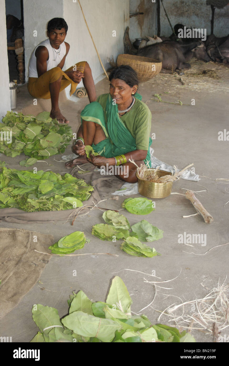 Male tendu hires stock photography and images Alamy