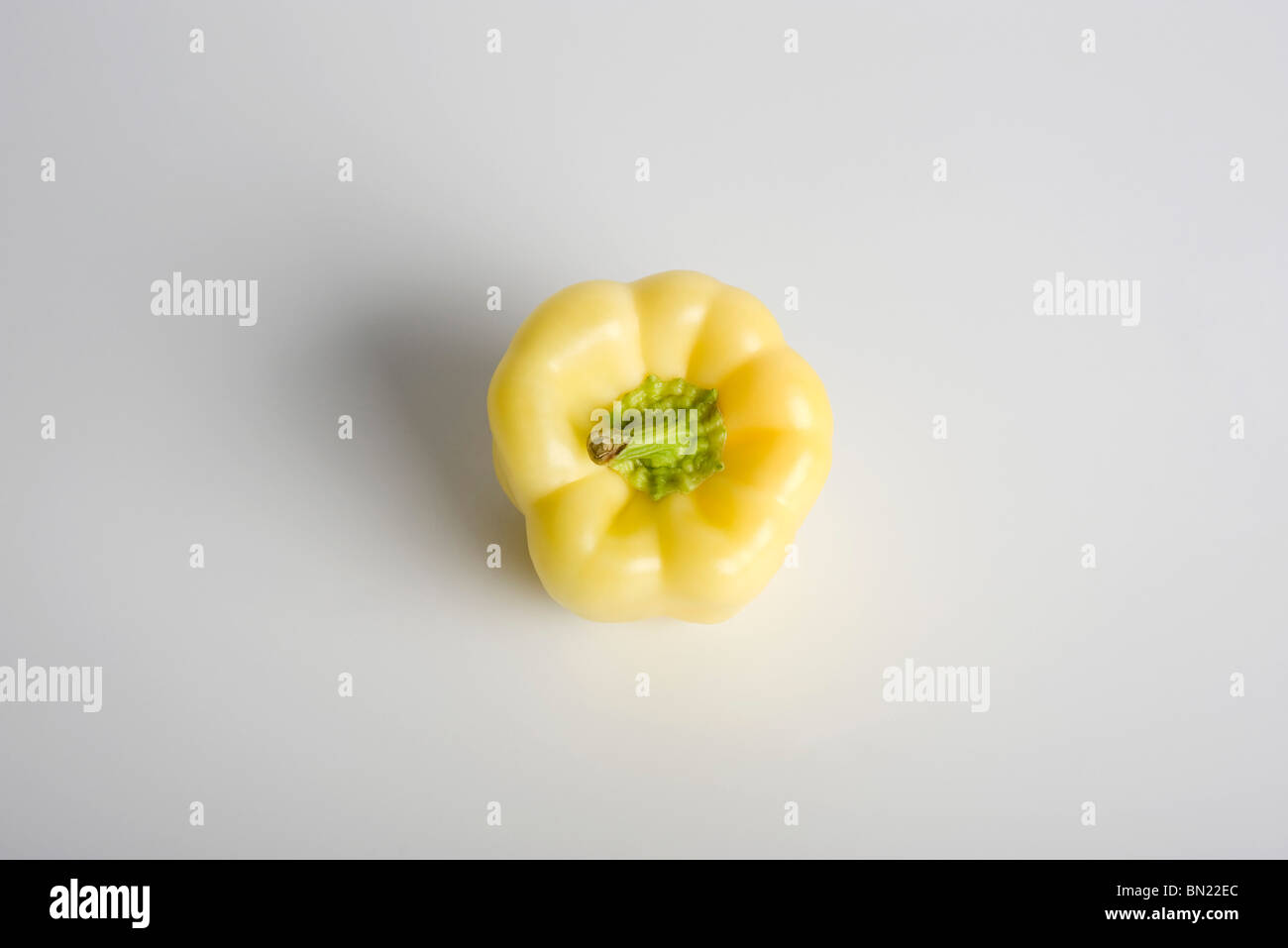 White bell pepper Stock Photo Alamy