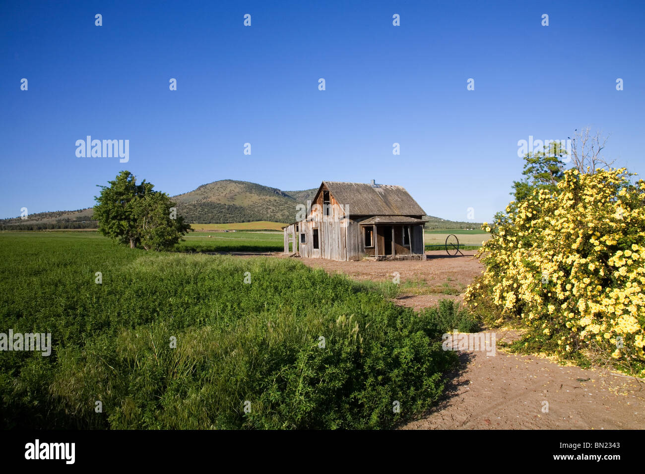 Culver oregon hi-res stock photography and images - Alamy