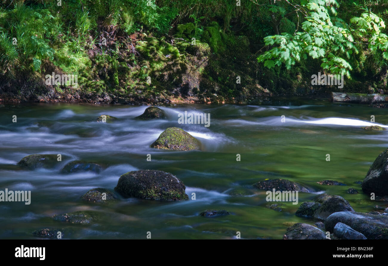 A river flowing over rocks and stones with the trees on the far bank reflecting their colour in the water. Stock Photo