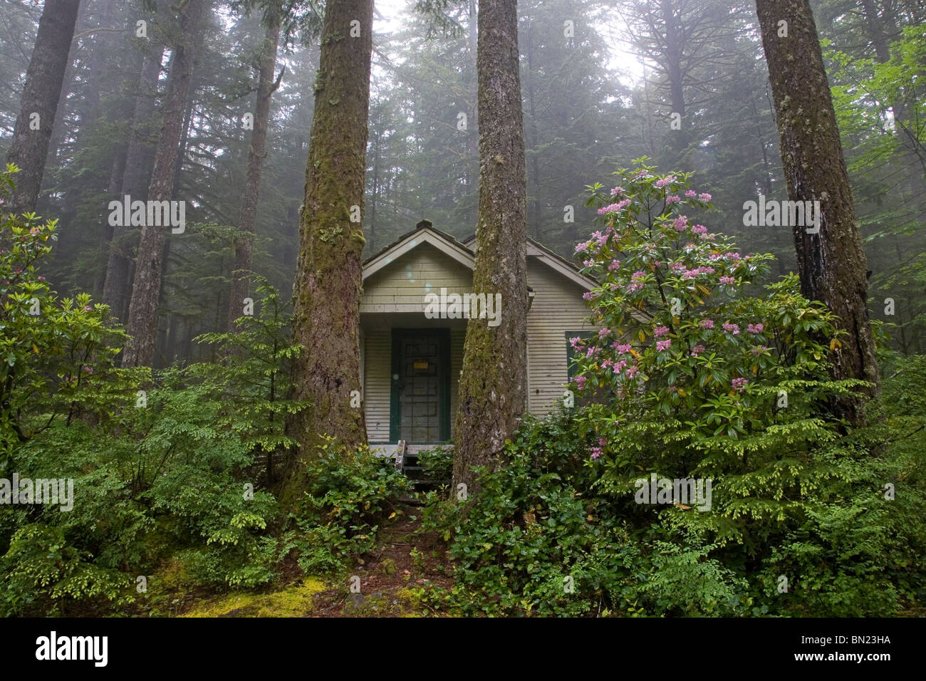Odell Lake Oregon Stock Photos Odell Lake Oregon Stock Images