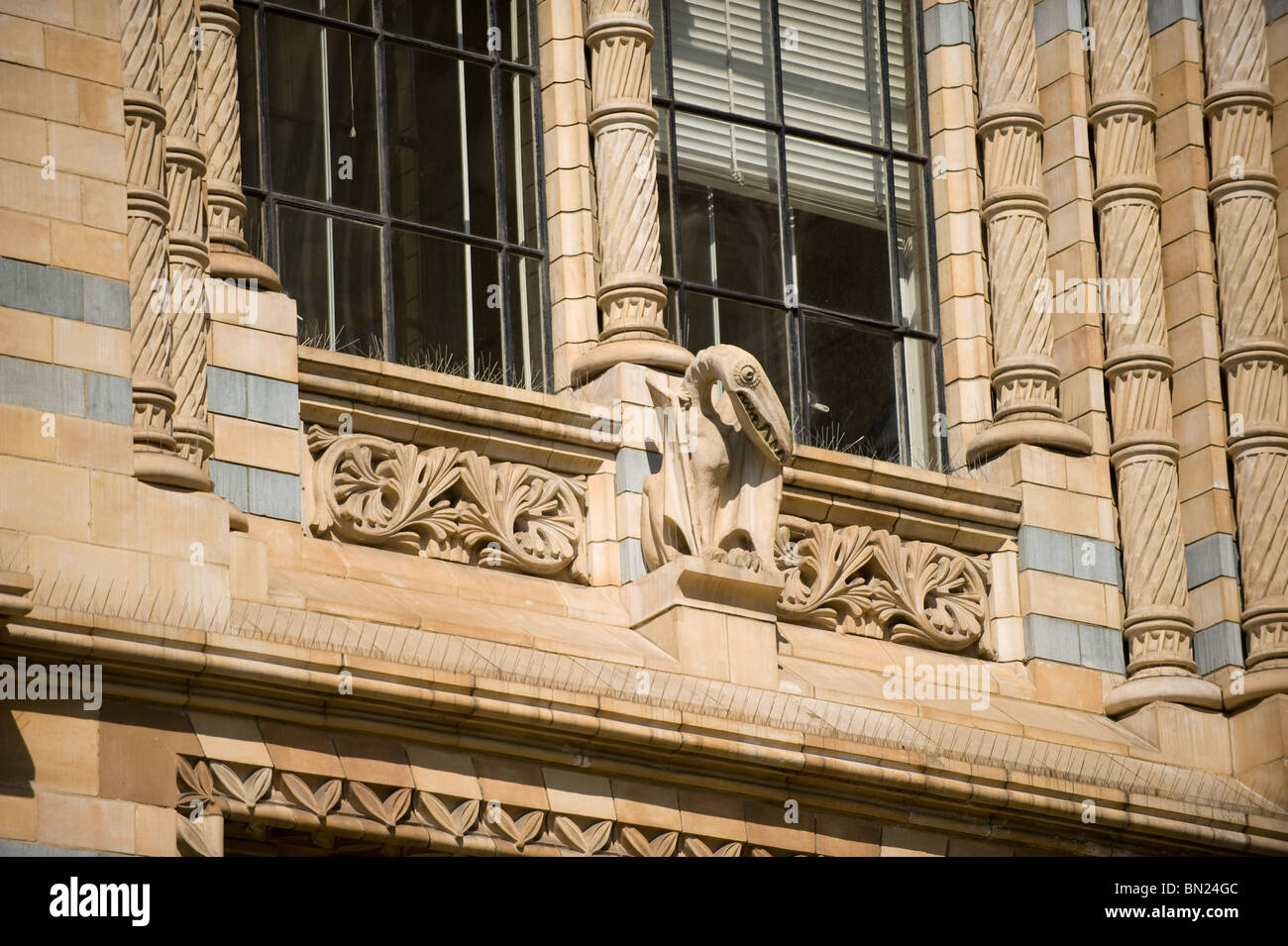 Gargoyle on the exterior of the Natural History Museum in London, UK