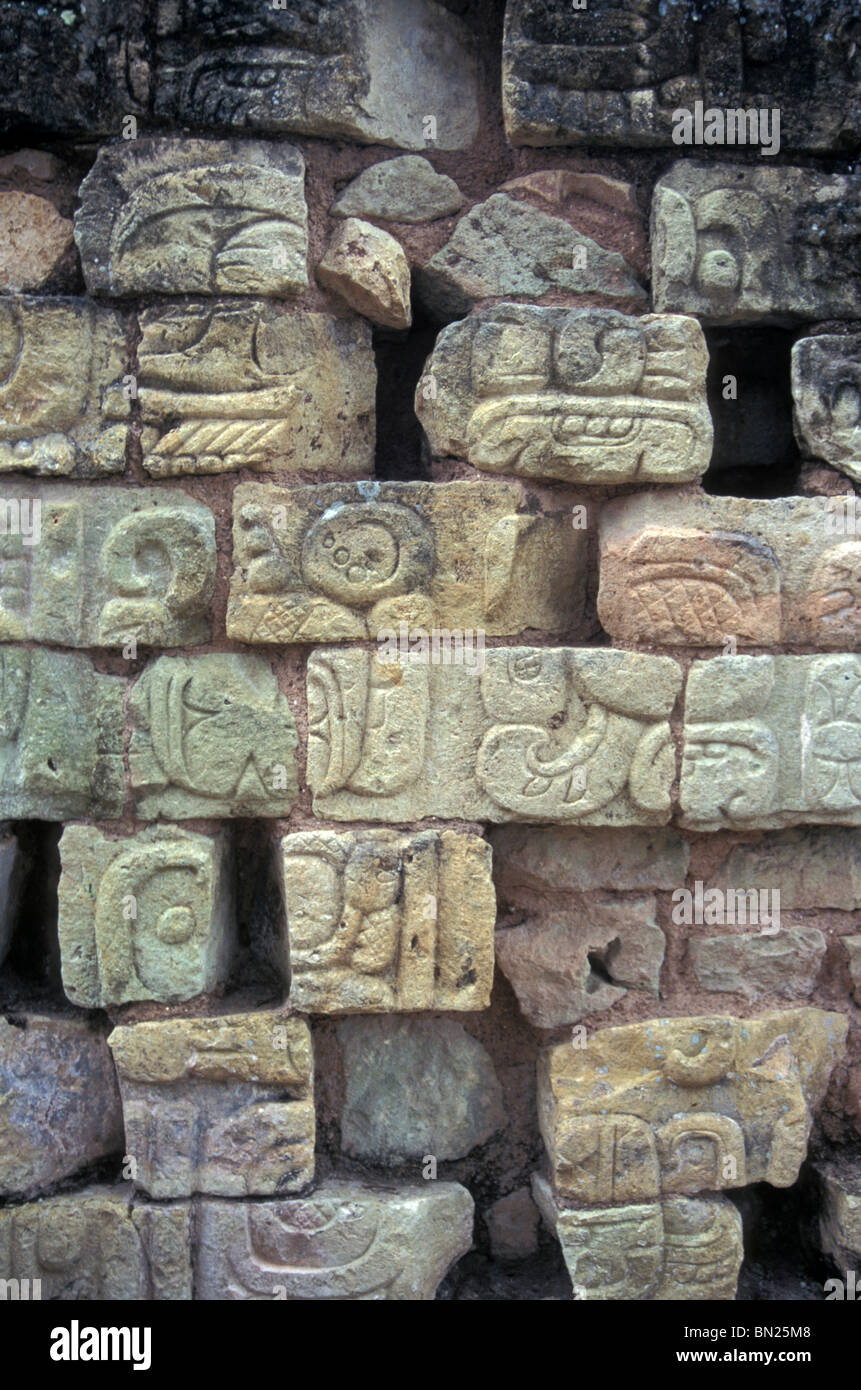Mayan stone glyphs at the Maya ruins of Copan, Honduras Stock Photo Alamy