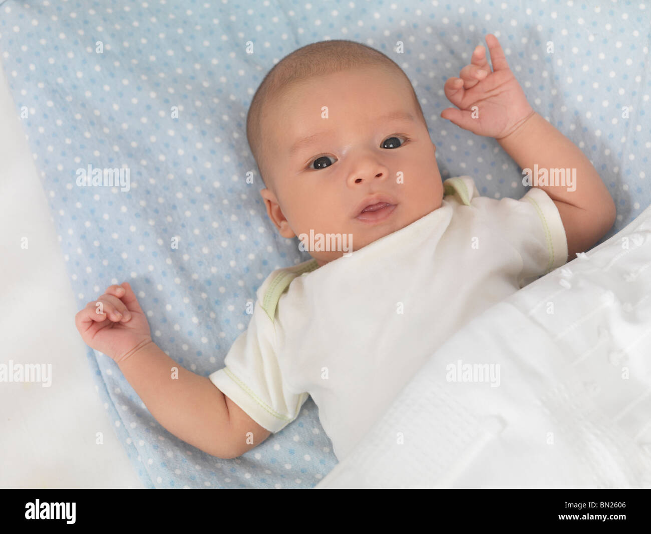 Six week old cute baby boy lying in a crib Stock Photo Alamy