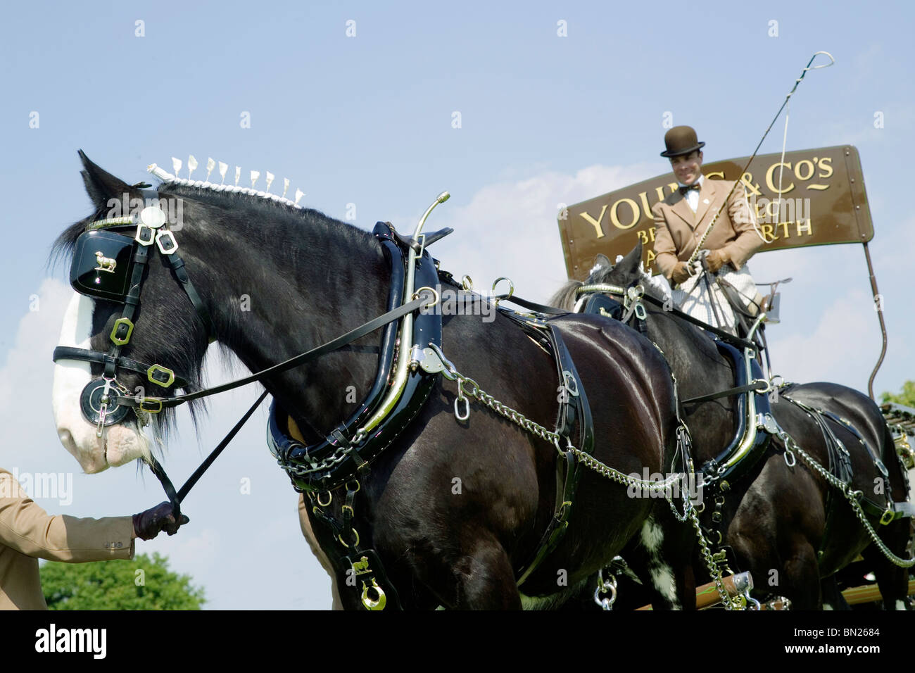 Young & Co's Shire Horse and Dray with Head Driver from Young's Ram Brewery in Wandsworth London Stock Photo