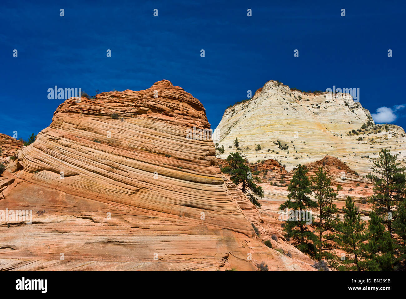 Slick Rock Formations near east entrance to Zion National Park, Utah Stock Photo