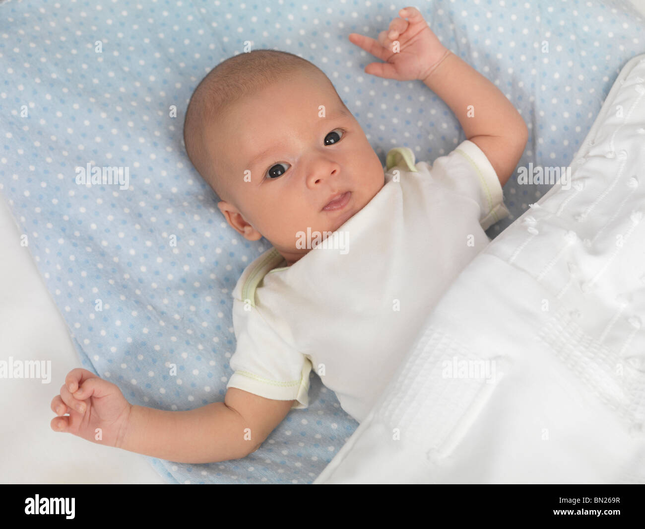 Six week old cute baby boy lying in a crib Stock Photo Alamy