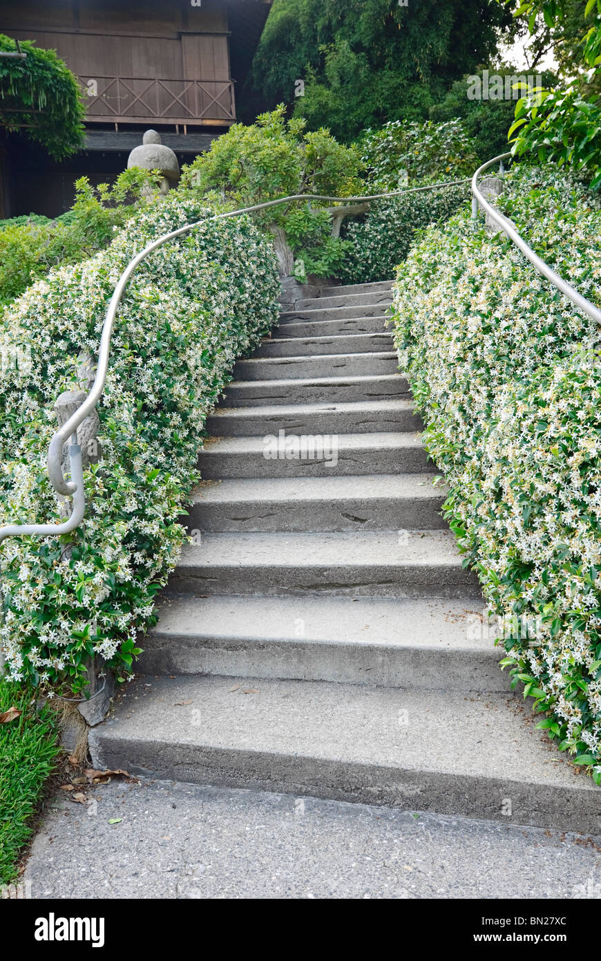 Winding stairs with blooming flowers surrounding in the Japanese gardens at the Huntington Library. Stock Photo