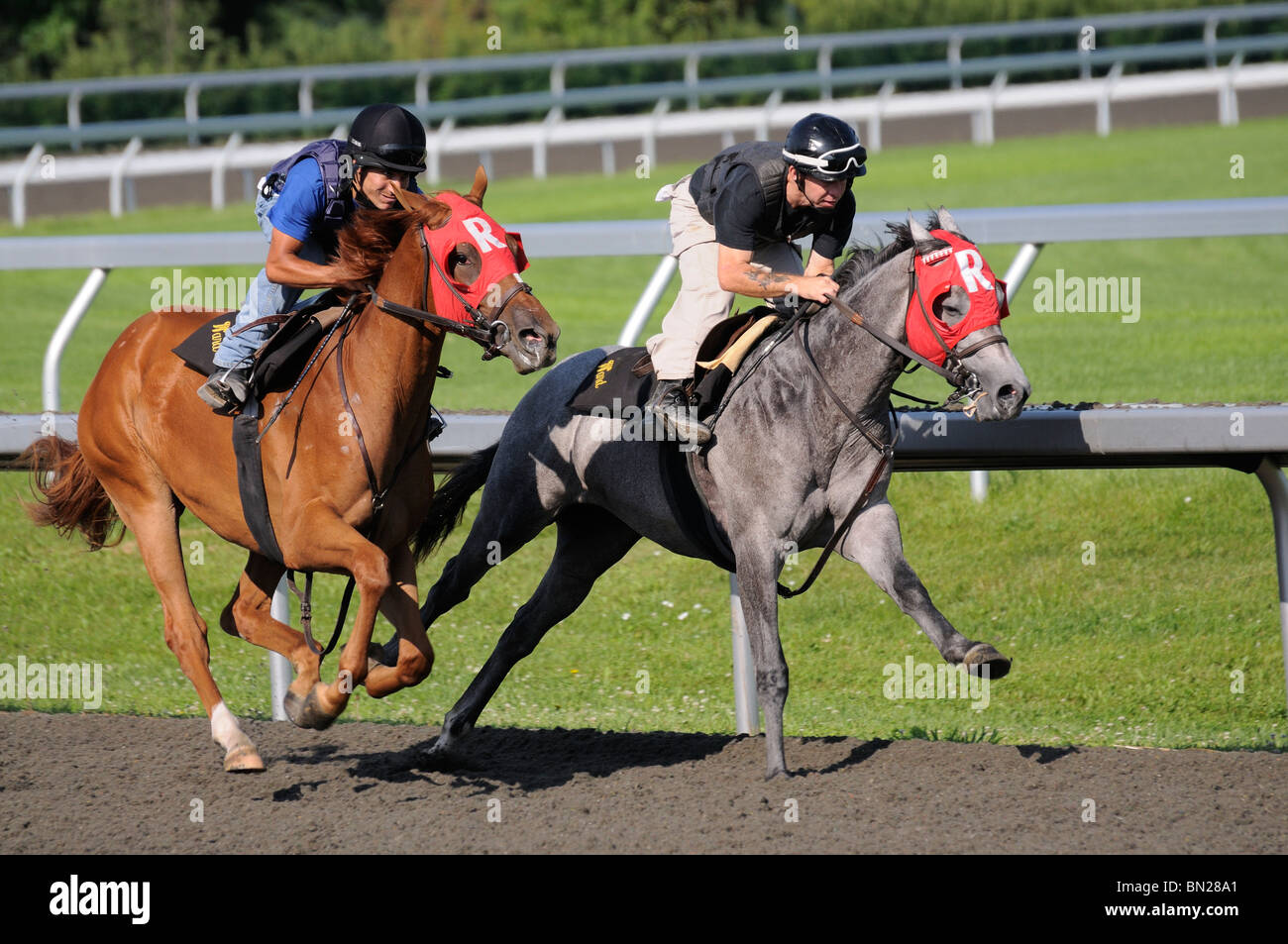 Thoroughbred horse and exercise jockey at the Keeneland horse racing