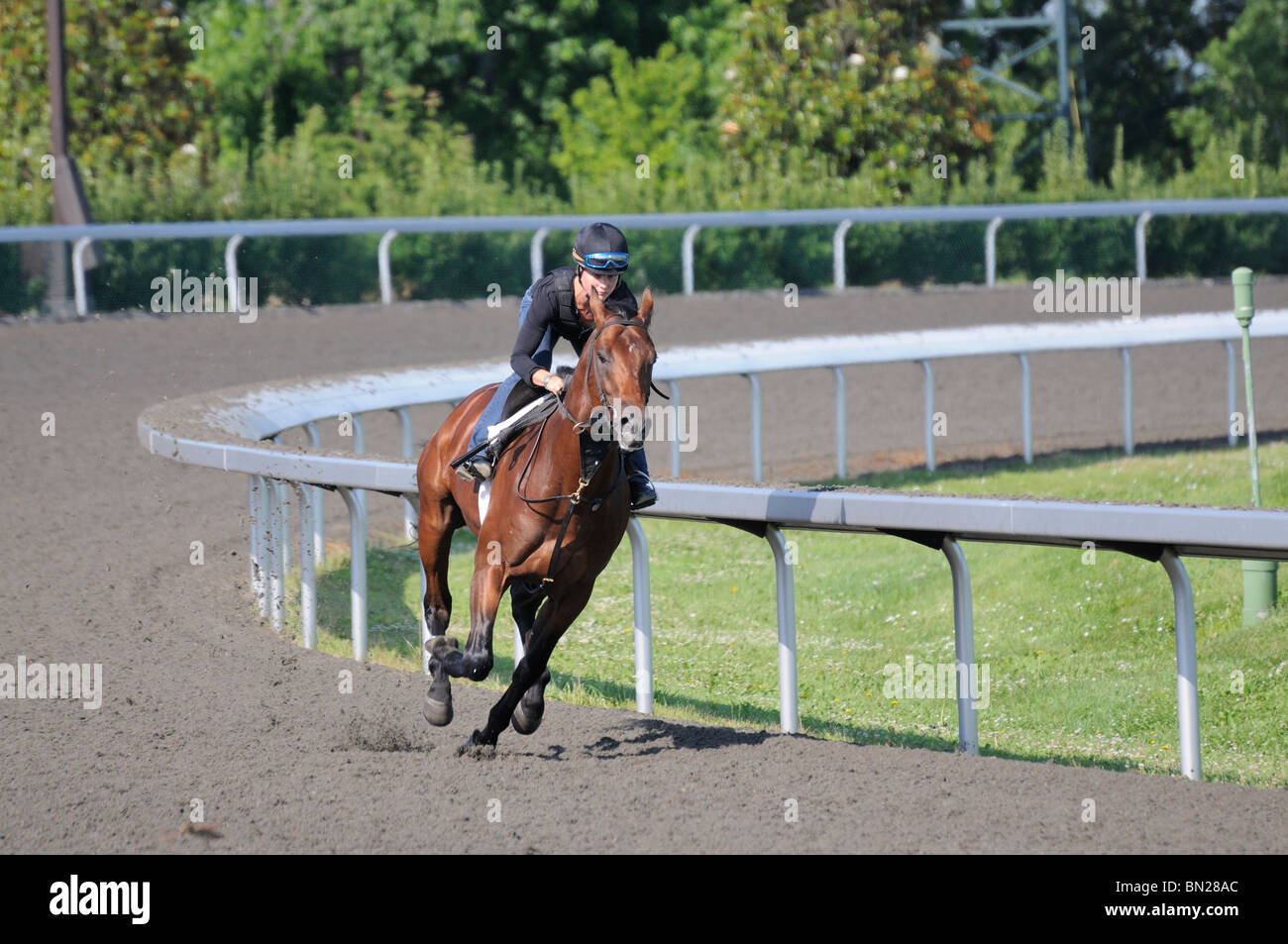 Thoroughbred horse and girl exercise jockey at the Keeneland horse