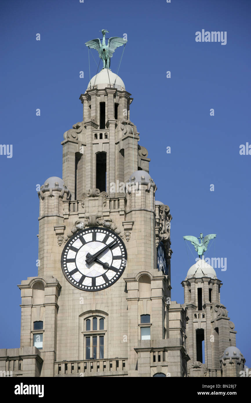 City of Liverpool, England. Close up view of the clock tower and two