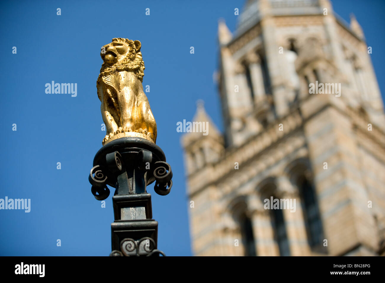 Close up of a small Golden Lion statue on top of the gates outside the