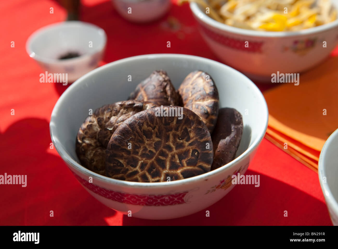 Shiitake mushrooms Stock Photo
