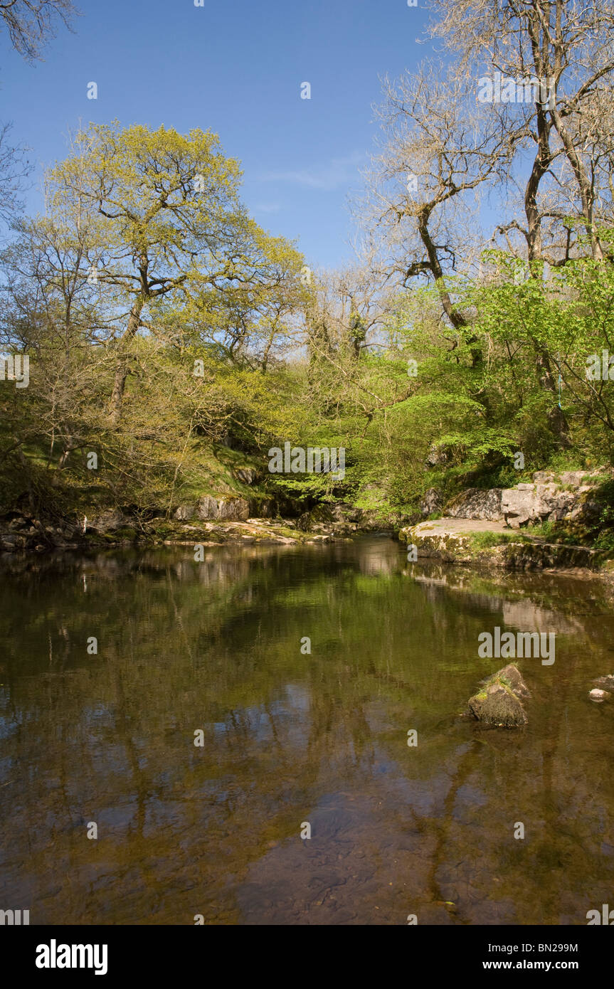 Waterfall Country, Brecon Beacons National Park, Wales, UK Stock Photo ...