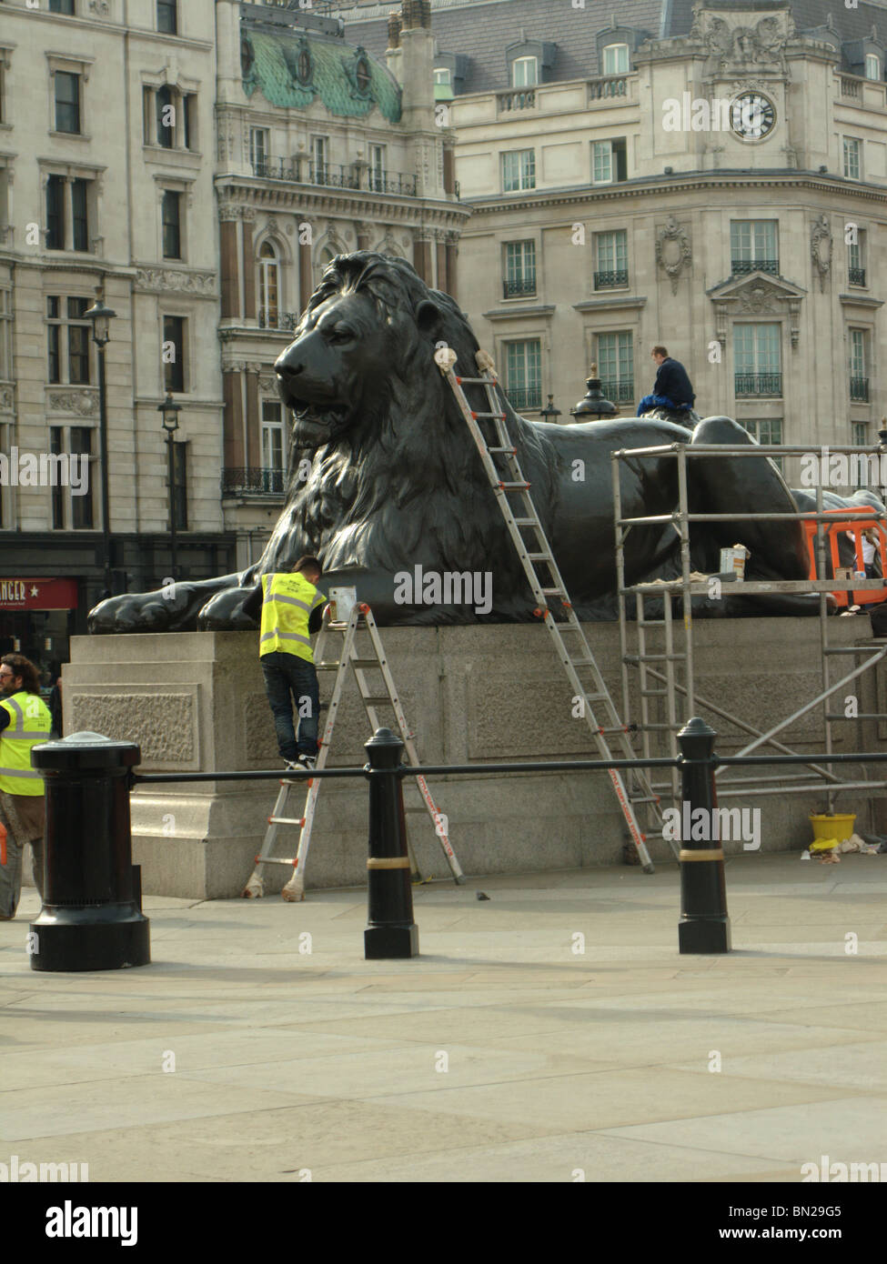 Lion, Trafalgar Square Stock Photo